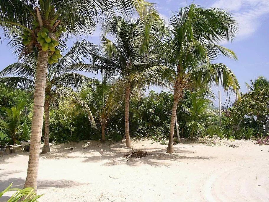 Marysol Beachfront Next To Nomads D7 Isla Mujeres