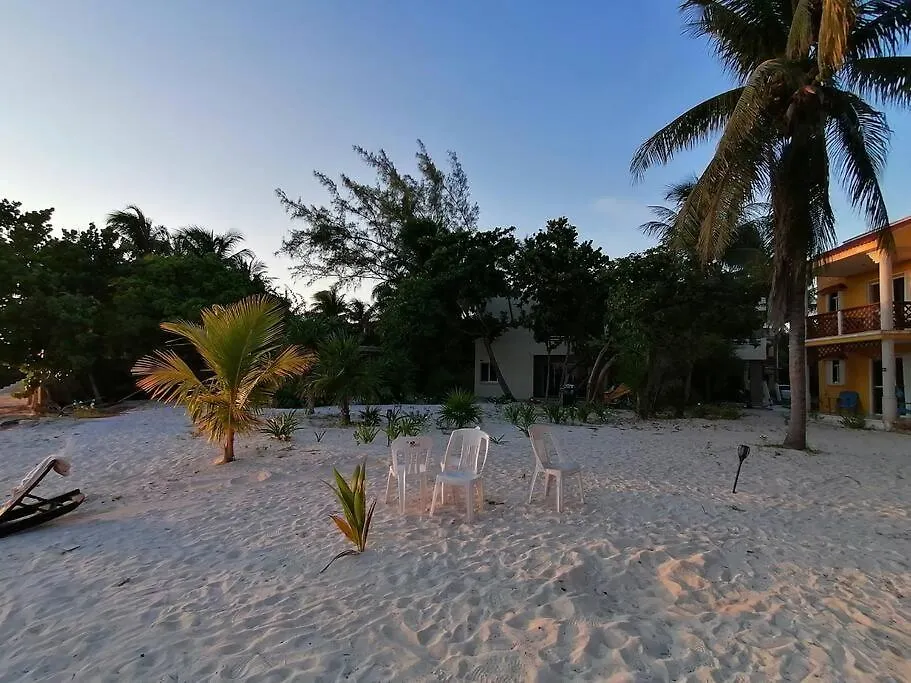 Marysol Beachfront Next To Nomads D7 Isla Mujeres Apartment
