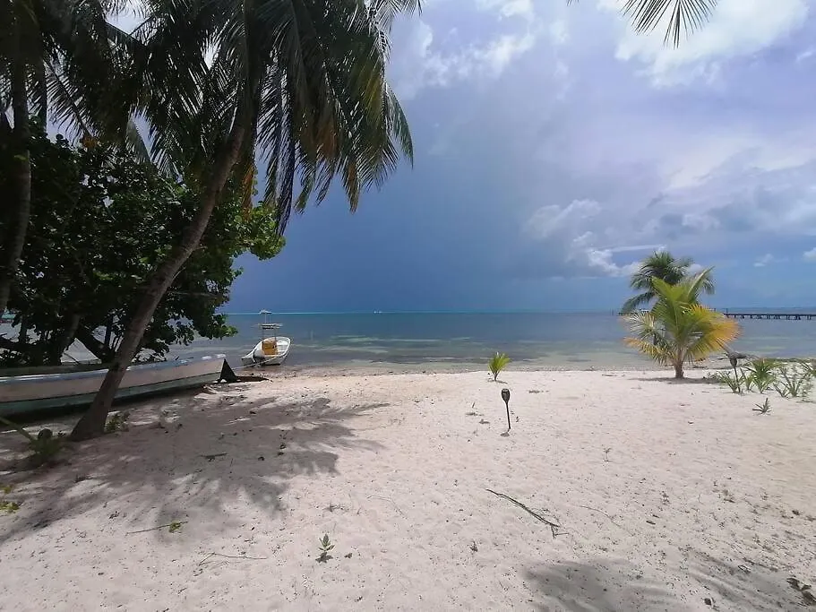 Marysol Beachfront Next To Nomads D7 Isla Mujeres 0*,  Mexico
