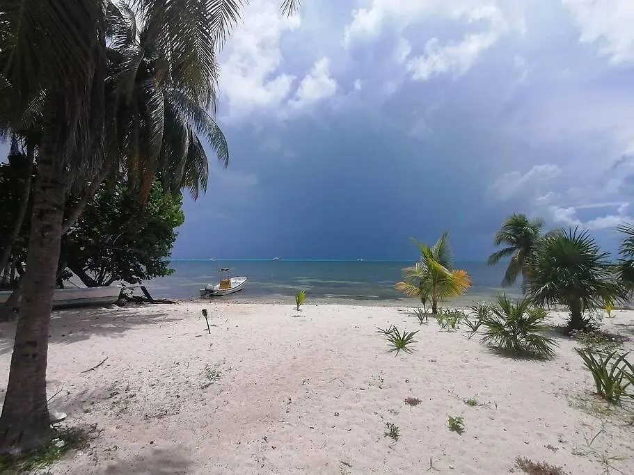 Marysol Beachfront Next To Nomads D7 Isla Mujeres Apartment